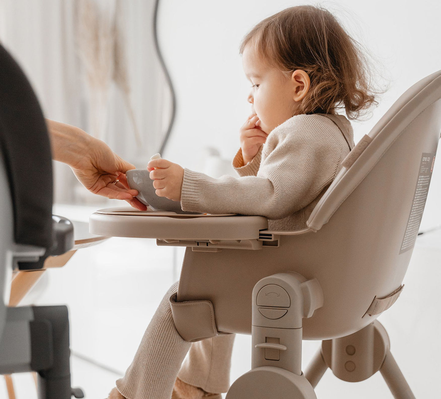 Seggiolone Pappa Ozy Anex 3in1 Fluff